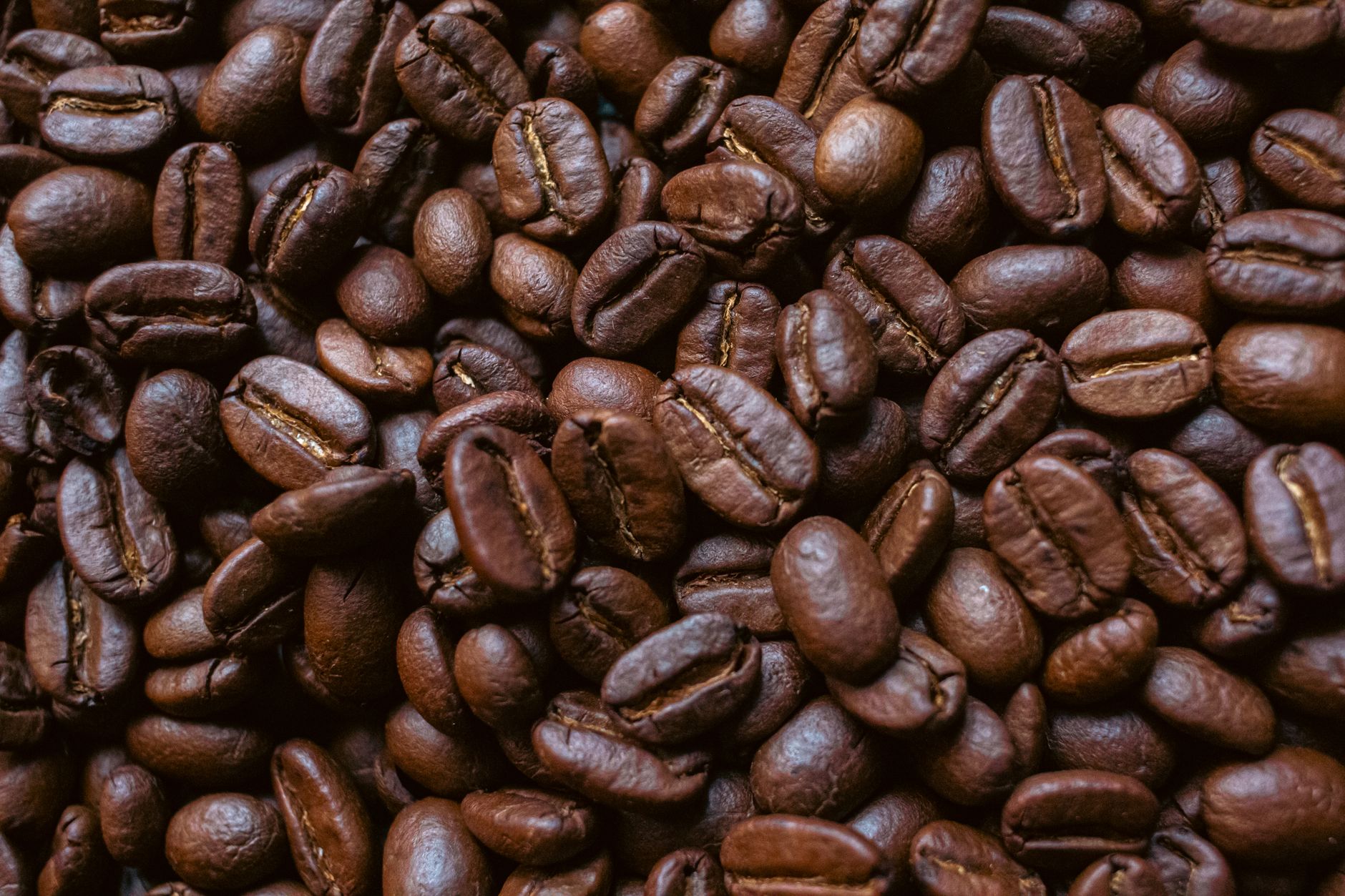 Zrna kávy Arabica a Robusta